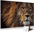 JBER 6 Pack Art Acoustic Panels, 72×48 Inches Soundproof Wall Panels, Large Self-Adhesive Wall Panels, Decorative Sound Absorbing Panels, Sound Panels for Recording Studio, Living Room (Lion)