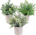 3 Pack Mini Artificial Potted Plants Faux Eucalyptus Plants Boxwood Rosemary Greenery in Pots Small Houseplants for Home Decor Office Desk Shower Room Decoration
