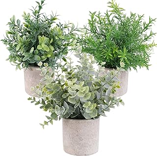 3 Pack Mini Artificial Potted Plants Faux Eucalyptus Plants Boxwood Rosemary Greenery in Pots Small Houseplants for Home Decor Office Desk Shower Room Decoration