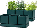 D'vine Dev Herb Garden Planter Set, Plastic Plant Pots with Drainage and Saucer, Indoor Succulent Cactus Vegetable Pot for Windowsill, Garden Balcony, Green, Set of 2, 76-V-C-2