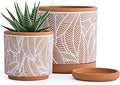 D'vine Dev Set of 2 Terracotta Pots, Leaves Pattern Planter Pot, 4 Inch and 6 Inch, Pot with Drainage Hole and Saucer, Terracotta/White, 31-958-I-1