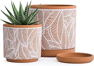 D'vine Dev Set of 2 Terracotta Pots, Leaves Pattern Planter Pot, 4 Inch and 6 Inch, Pot with Drainage Hole and Saucer, Terracotta/White, 31-958-I-1