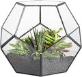 NCYP Small No Door Terrarium Planter - 6.8" x 6.8" x 5.9" Open Geometric Glass Terrarium Pot for Mini Succulents, Small Cactus - Home Tabletop Miniature Decor, Black (No Plants)