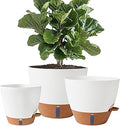 8/10/12 Inch Self Watering Pots for Indoor/Outdoor Plants - Large Plastic Planter with Drainage Holes, Water Level Indicator & Deep Reservoir, Modern Decorative Flower Pots (White)