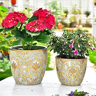 Sungmor Large Heavy Duty Cement Planters, Beautiful Embossed Concrete Garden Pots, 8" & 10" Set of 2 Plant Pots with Drainage Hole, Home Garden Decorative Flower Pots for Indoor Outdoor Plants Floral