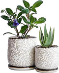 D'vine Dev Embossed Leaves Design 4 Inch & 6 Inch Stoneware Planter Pot with Drainage Hole and Saucer, Smoked White, 27-B-U-1