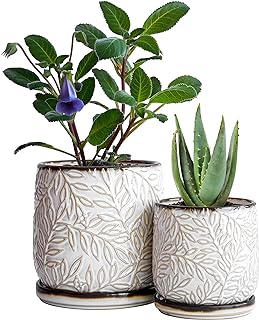 D'vine Dev Embossed Leaves Design 4 Inch & 6 Inch Stoneware Planter Pot with Drainage Hole and Saucer, Smoked White, 27-B-U-1