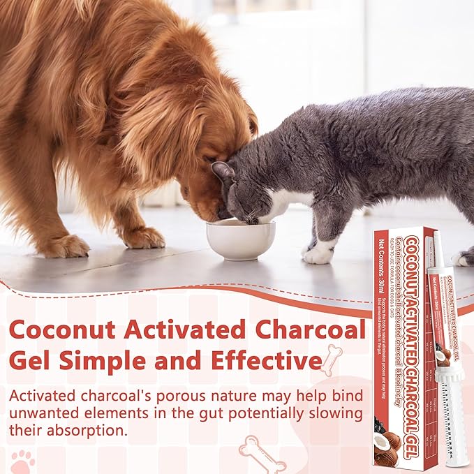 Activated Charcoal Paste for Dogs Cats, Puppy & Pet Poisoning Kit, Toxin Absorber for Pet Emergency, Aids Digestive System Recovery, 2 Tubes, 30 ml Each