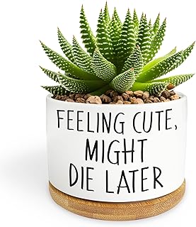 Funny Succulent Pots, Mini Succulent Planter Pots, Cute Planters for Succulents, Small Ceramic Cactus Pot with Drainage Hole, Plant Lover Gifts - Feeling Cute Might Die Later