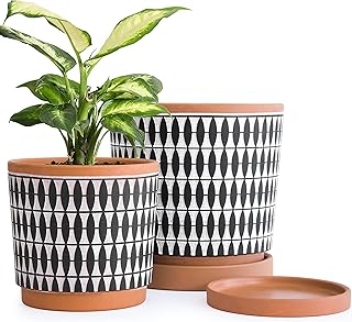D'vine Dev Set of 2 Terracotta Pots, 6.5 Inch and 8.2 Inch, Planter Pots for Plants with Drainage Holes and Saucers, Pottery Red/Black, 34-958-B-2