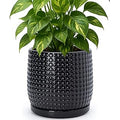 D'vine Dev 8 Inch Ceramic Beaded Stoneware Planter Pot - Flower Pot with Drainage Holes and Saucers for Indoor Succulent Plants or Flowers, Glossy Black, 27-C-Q-2