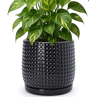 D'vine Dev 8 Inch Ceramic Beaded Stoneware Planter Pot - Flower Pot with Drainage Holes and Saucers for Indoor Succulent Plants or Flowers, Glossy Black, 27-C-Q-2