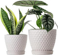 Docrin Ceramic Plant Pots Set of 2 (6.6"+5.5"), High-Fired Clay Indoor Planters with Drainage Holes & Saucer, Honeycomb Modern Home Decor for All House Plants