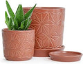 D'vine Dev Ceramic Flower Plants Pots Planter, 3.8 Inch 5.8 Inch Stoneware Planter Pot with Drainage Hole and Saucer, Set of 2, Pottery Red, 99-E-5