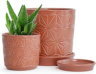 D'vine Dev Ceramic Flower Plants Pots Planter, 3.8 Inch 5.8 Inch Stoneware Planter Pot with Drainage Hole and Saucer, Set of 2, Pottery Red, 99-E-5