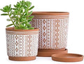 D'vine Dev Set of 2 Terracotta Pots, 4 Inch & 6 Inch, Planter Pots for Plants with Drainage Holes and Saucers, Terracotta/White, Small, 31-958-A-1