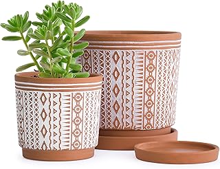 D'vine Dev Set of 2 Terracotta Pots, 4 Inch & 6 Inch, Planter Pots for Plants with Drainage Holes and Saucers, Terracotta/White, Small, 31-958-A-1