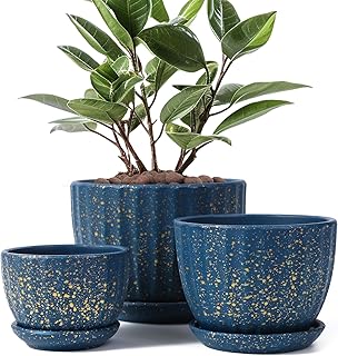 STHIE Ceramic Plant Pots with Drainage Holes and Saucers, Round Blue Flower Pots for Indoor Plant, Diameter 3.3/4.3/5.5 Inches Small Mini Flower Planters Set of 3