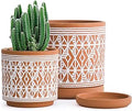 D'vine Dev Set of 2 Terracotta Pots, Diamond Pattern Planter Pot, 4 Inch and 6 Inch, Pot with Drainage Hole and Saucer, Terracotta/White, 31-958-G-1