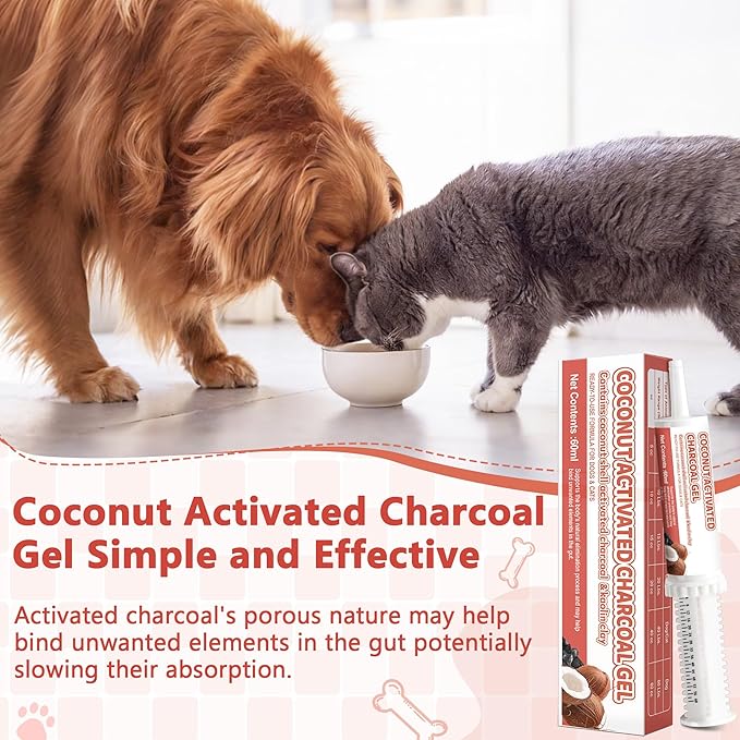 Activated Charcoal Paste for Dogs Cats, Puppy & Pet Poisoning Kit, Toxin Absorber for Pet Emergency, Aids Digestive System Recovery, 2 Tubes, 60 ml Each