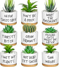 Domensi 9 Pcs Funny Succulent Pots Cute Aloe Cactus Planter with Bamboo Tray Ceramic Accessories White Mini Flower Drainage Tray Pots Indoor Outdoor Plants Birthday Gifts Housewarming Women Coworker