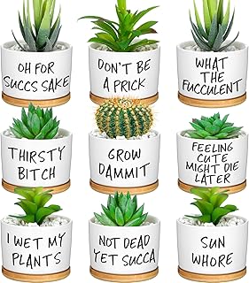 Domensi 9 Pcs Funny Succulent Pots Cute Aloe Cactus Planter with Bamboo Tray Ceramic Accessories White Mini Flower Drainage Tray Pots Indoor Outdoor Plants Birthday Gifts Housewarming Women Coworker