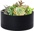 D'vine Dev 10 Inch Plastic Shallow Planter, Large Round Succulent Plant Pot with Drainage Hole and Sauce, Decorative Bonsai Pot for Indoor Plants, Black, 76-Z-B-2
