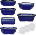 Bonsai Planter 6 pc Mini Glazed Succulent Pots Value Set + 6 Soft Mesh Drainage Screens
