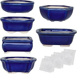 Bonsai Planter 6 pc Mini Glazed Succulent Pots Value Set + 6 Soft Mesh Drainage Screens