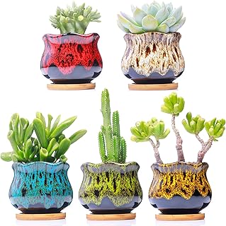 Cute Ceramic Succulent Garden Pots, Planter with Drainage and Attached Saucer, Set of 5 -Plants Not Included (Fambe)