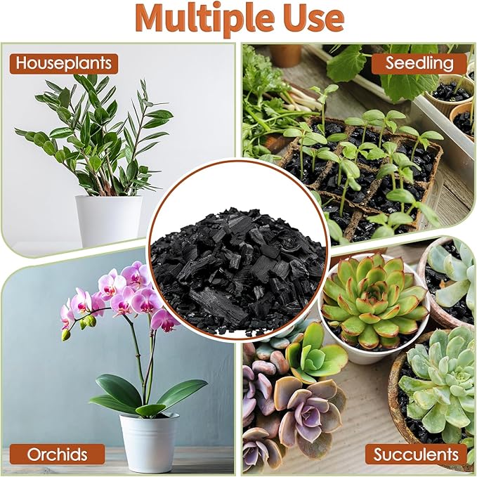 Horticultural Charcoal for Plants,1QT Premium Activated Charcoal for Indoor and Outdoor Plants,Ideal for Soil Amendment, Orchids,Succulent,Cactus, Terrariums & Gardening