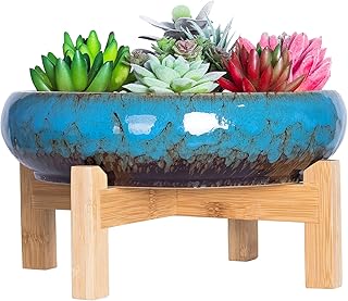 Succulent Pots - Large Succulent Planters Pots with Drainage, 10 Inch Ceramic Bonsai Pot with Stand Round Shallow Planter for Indoor/Outdoor Plants Decorative Garden Cactus Flower Container Bowl