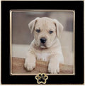 4x4 Black Enamel on Gold Metal Frame - Dog Paw Print