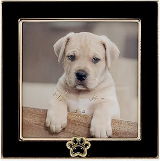 4x4 Black Enamel on Gold Metal Frame - Dog Paw Print