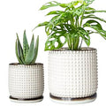 D'vine Dev 6 Inch 4 Inch Ceramic Indoor Planter Pots with Drainage Hole and Saucer, Beaded Design Flower Pots, Set of 2, Smoked White, 27-D-U-1