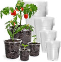 Bluepro 36 Packs 7/5/4/3.5 Inch Reinforced Clear Nursery Pots with Drainage Hole, Transparent Variety Pack Plastic Plant Pot Seedling Planter for Vegetable Propagation, Root Cutting, Seed Starting