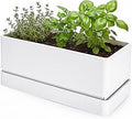 D'vine Dev 12" x 6.5" Window Box Planter, Rectangular Plastic Herb Planter with Drainage Holes & Saucer, Succulent, Cactus & Vegetable Pot for Windowsills/Balconies, White, Set of 1, 76-P-A-1