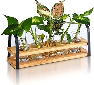 VIKEYHOME Plant Propagation Station with Wood Stand, Desktop Terrarium for Hydroponic, Flower Vase for Home, Kitchen, Office Decor, Plants Lover Gifts