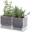D'vine Dev 4 Inch Herb Planter Pots, Acrylic Planter with Drainage Holes and Saucer, Modern Decorative Gardening Pot for Indoor Plants, Herbs, Succulents, Clear, Set of 2, 76-Y-D-2