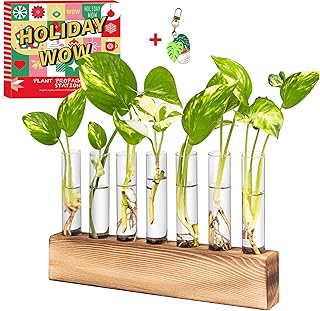 KAXYEW Plant Terrarium with Wooden Stand, Plant Propagation Tubes, 7 Test Tubes Glass Planter for Hydroponic Plant Cuttings Home Office Décor