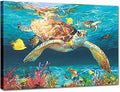 JZLDZS Sea Turtle Wall Art Bathroom Wall Decor Coastal Decorations for Bedroom Kitchen, 16x12 Inch Framed Artwork Ocean Animal Canvas Print