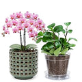 D'vine Dev 6.7 Inch Ceramic Orchid Planter with Lattice Cutout Design, Glazed Cachepot with Clear Nursery Pot & Detachable Saucer for Orchids and Indoor Plants, Olive, 28-A-Y-4
