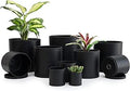 D'vine Dev 10 Pack Plastic Plant Pots for Plants, 6.5/6/5.5/5/4.5/4/3.5/3/2.5/2 Inch Indoor Planters Cylindrical Succulent Pot with Drainage Hole and Saucer, Black, 74-S-B