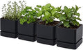 D'vine Dev 6 Inch Herb Planter Pot, Plastic Planter with Drainage Holes and Saucer, Modern Decorative Gardening Pot for Indoor Plants, Flowers, Herbs, Succulents, Black, Set of 4, 76-Y-B4-2