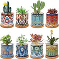 Kingrol 8 Pack Succulent Pots, Mini Ceramic Flower Planter Pot with Drainage Hole and Bamboo Tray for Cactus, Ferns, Herbs, Jade Plants - Mandala Style, Plants Not Included