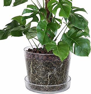 Phoenix Vine 12 Inch Clear Acrylic Planter Pot with Tray, Orchid Pot with Drainage Holes, Deep Saucer for Bottom Watering, Transparent Containers for Indoor Plants, Herbs, Set of 1, 91-A-I-1
