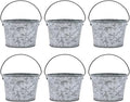 Hosley Set of 6 Mini Oval Tub Galvanized Planter 3.8 Inches Long Ideal for Floral Arrangements DIY Craft and Floral Projects Gifts Baskets Party Favors P9