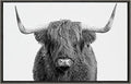 Kate and Laurel Sylvie Highland Cow Framed Canvas Wall Art by Amy Peterson, 23x33 Gray, Rustic Wall Decor for Living Room, Bedroom, Kitchen Or Nursery