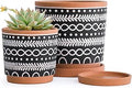 D'vine Dev Set of 2 Terracotta Pots, 4 Inch & 6 Inch, Planter Pots for Plants with Drainage Holes and Saucers, Terracotta/Black, 31-958-D-2