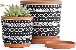 D'vine Dev Set of 2 Terracotta Pots, 4 Inch & 6 Inch, Planter Pots for Plants with Drainage Holes and Saucers, Terracotta/Black, 31-958-D-2